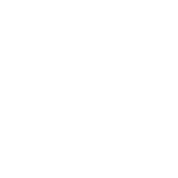 NMSDC Certified Minority Business Enterprise